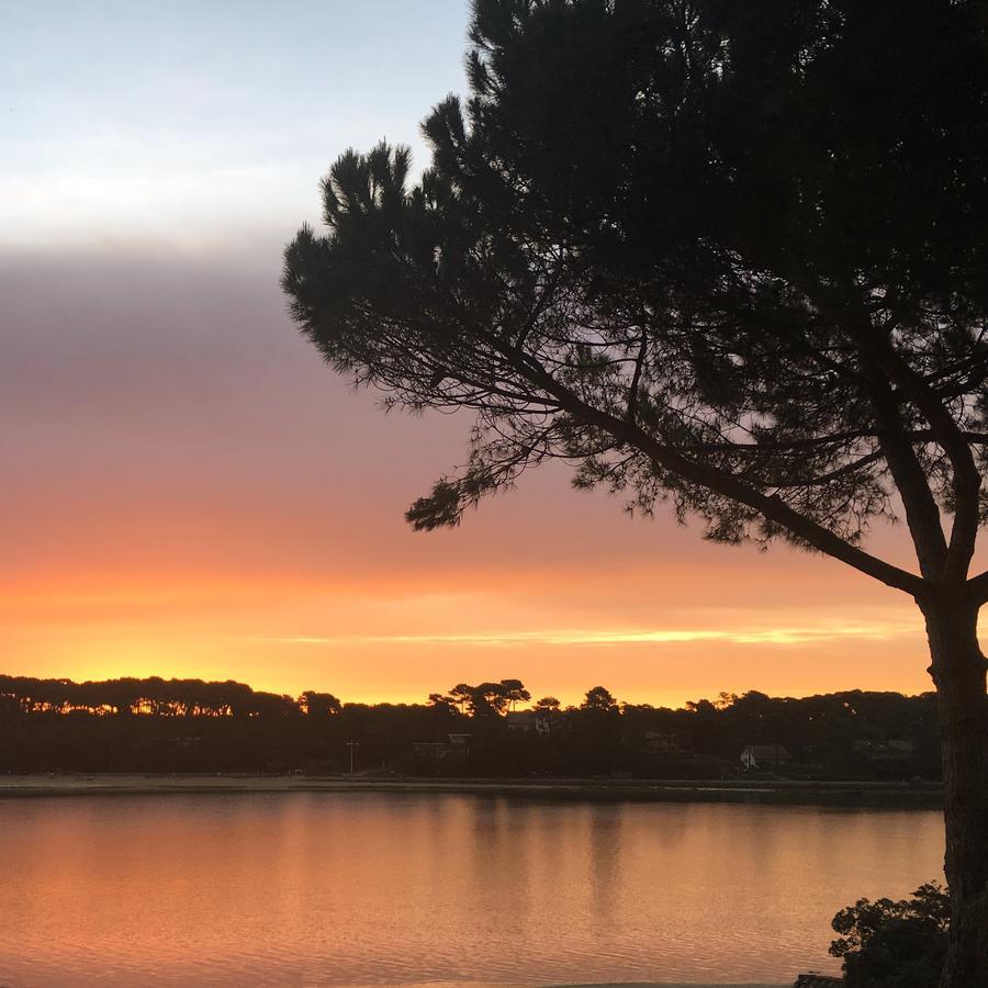 Hotel Les Hortensias Du Lac Soorts-Hossegor Bagian luar foto